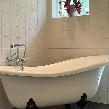 Classic 30s House In Asserbo's Woods