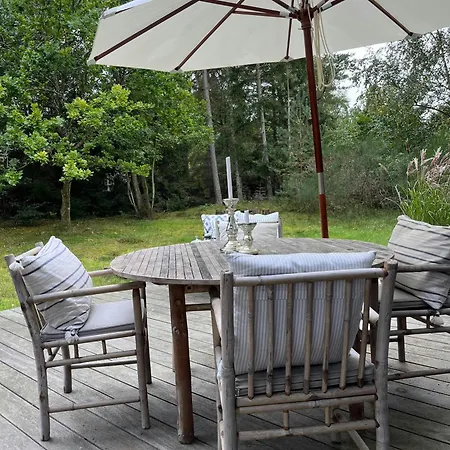 Classic 30s House In Asserbo's Woods *